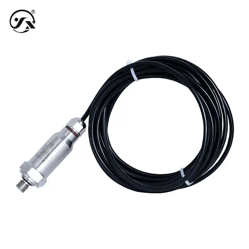 CYYZ39A高防护性压力变送器 - 图片 3